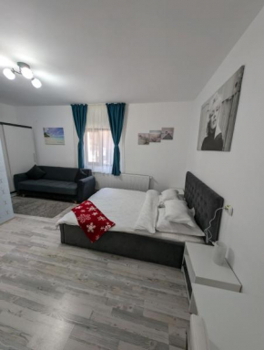 Cazare La Piatra Buhei Câmpulung Moldovenesc